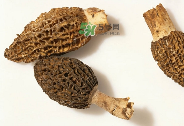 羊肚菌可以生吃吗,羊肚菌能吃吗