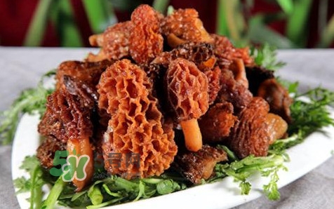 羊肚菌煲什么汤好喝又营养,羊肚菌煲什么汤