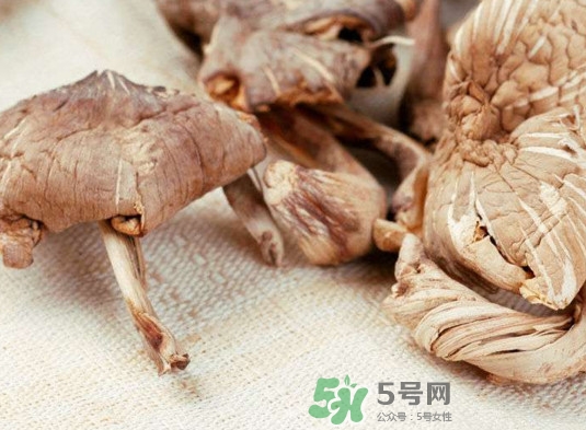 黑皮鸡枞菌不能和什么一起吃,鸡枞菌不能和什么一起吃