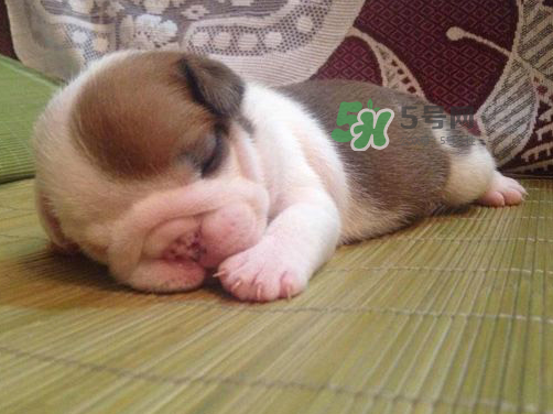 冬天可以睡凉席吗,夏天用什么凉席最好