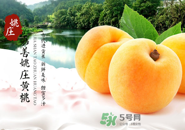 黄桃几月份成熟,黄桃啥时候成熟 黄桃几月份成熟,黄桃啥时候成熟