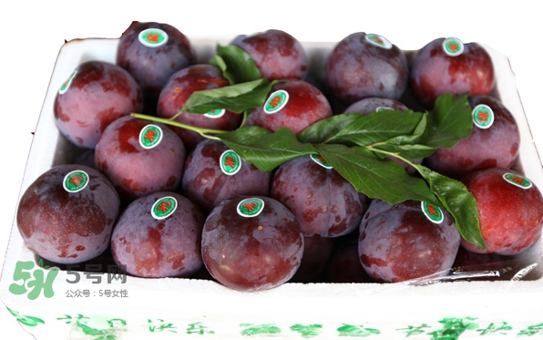 黑布林的品种,黑布林的品种有哪些? 黑布林的品种,黑布林的品种有哪些?