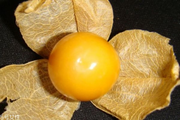 吃龙珠果有什么作用呢(龙珠果的功效)