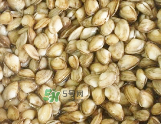 海瓜子怎么清洗,海瓜子怎么清洗泥沙