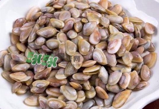 海瓜子和织纹螺的区别,海瓜子和织纹螺是一个东西嘛 海瓜子和织纹螺的区别,海瓜子和织纹螺是一个东西嘛