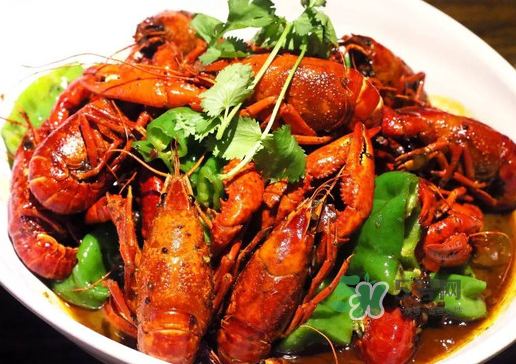 金蝉有什么营养价值,金蝉能吃吗?有什么营养