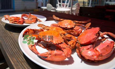 赤甲红为什么没有母蟹,赤甲红螃蟹为什么没有母的