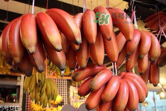 红皮香蕉是什么品种,绿皮香蕉是什么品种 红皮香蕉是什么品种,绿皮香蕉是什么品种