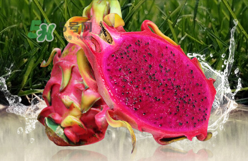 红心火龙果什么时候吃减肥效果好,吃红火龙果减肥吗