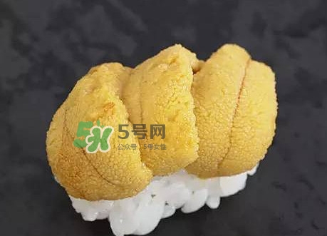 海胆可以生吃吗好吃吗,海胆可以生吃吗?