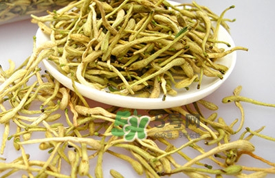 金银花茶有什么功效和作用,金银花茶花茶的功效和作用