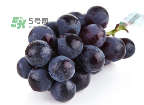 什么是碱性食物有哪些,什么是碱性食物和水果之类的 什么是碱性食物有哪些,什么是碱性食物和水果之类的