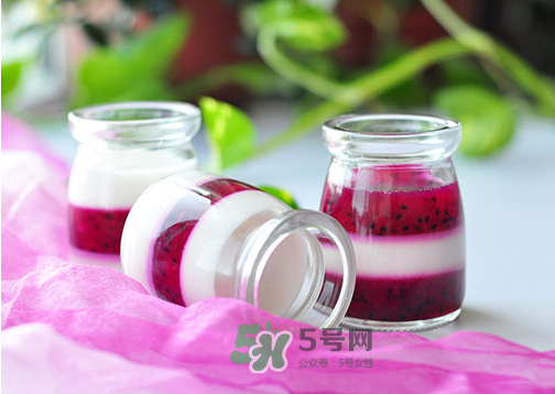 红心火龙果和酸奶怎么做好吃,红心火龙果和酸奶怎么做冰淇淋