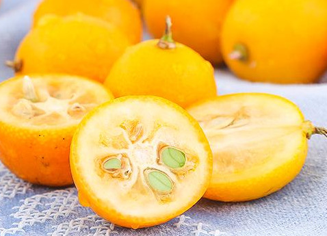 小金桔是几月份的水果,青桔是什么季节的水果 小金桔是几月份的水果,青桔是什么季节的水果