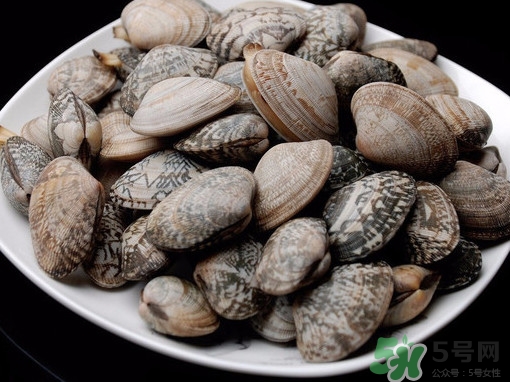 花蛤吐沙盐水比例多少,花蛤吐沙盐水浓度