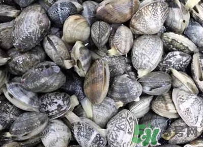 花蛤蜊怎么清洗干净,花蛤蜊怎么清理干净