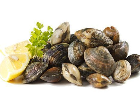 蛤蜊跟什么食物相克,花蛤和什么食物相克