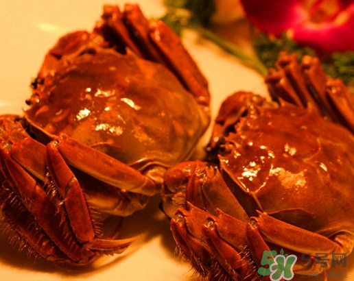 六月黄和大闸蟹有什么区别,六月黄和大闸蟹哪个贵 六月黄和大闸蟹有什么区别,六月黄和大闸蟹哪个贵