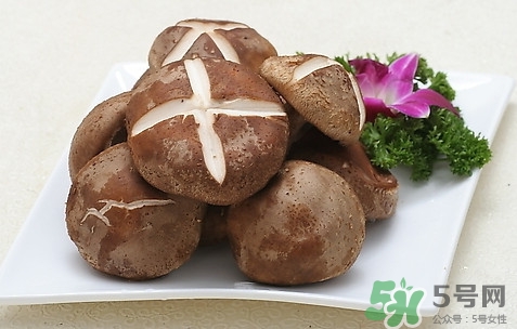 香菇新鲜的好还是干的好,香菇干的好还是新鲜的香菇比较好 香菇新鲜的好还是干的好,香菇干的好还是新鲜的香菇比较好