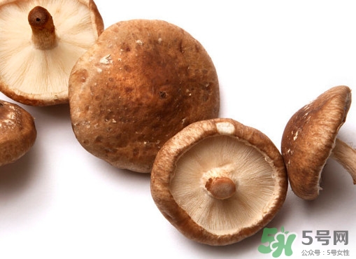 香菇和蘑菇有什么区别呢,香菇和蘑菇一样吗