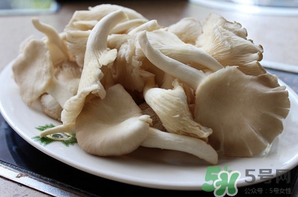 平菇长白毛还能吃吗?,平菇长白毛毛了能吃吗