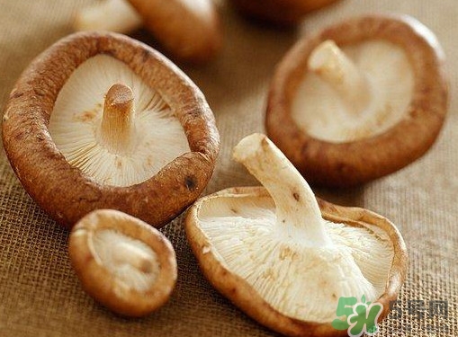 干香菇怎么挑选,干香菇什么样的品质好