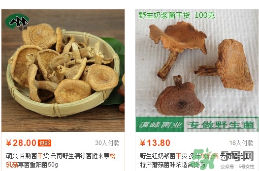 松乳菇价格,新鲜松菇多少钱一斤