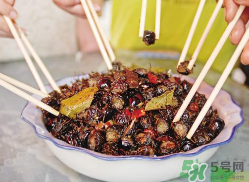 知了猴怎么做,知了猴的做法大全