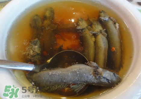 跳跳鱼是淡水鱼吗,跳跳鱼是淡水鱼还是海水鱼