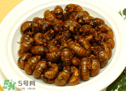 知了猴用盐水泡多久不变质,知了猴用盐水泡多久换水