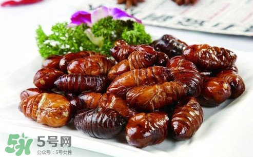 蝉蛹不能和什么一起吃,蝉蛹和蘑菇能一起吃吗?