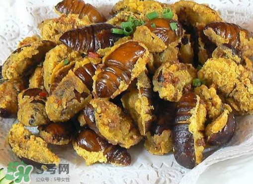 蝉蛹怎么保存?,蚕蛹怎么保存才能放久