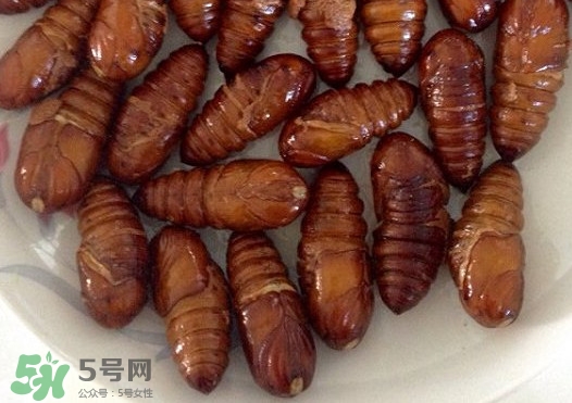 蚕蛹的营养价值和功效,蚕蛹的营养成分 蚕蛹的营养价值和功效,蚕蛹的营养成分