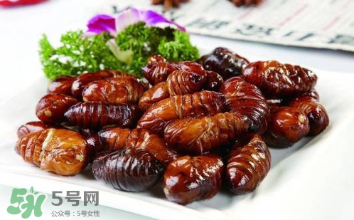 蝉蛹是怎么形成的,什么是蚕蛹