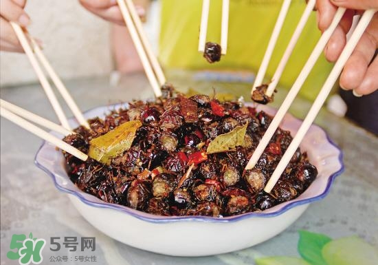 孕妇吃知了猴的好处和坏处,孕妇吃知了猴的好处 孕妇吃知了猴的好处和坏处,孕妇吃知了猴的好处