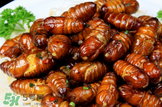 知了猴什么人不能吃,知了猴可以吃吗