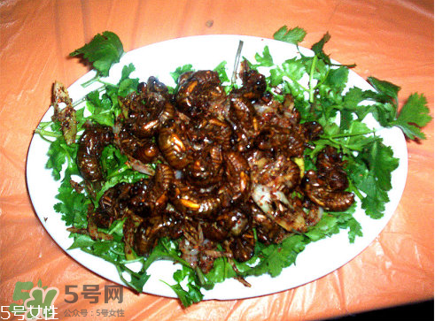 如何炸知了猴窍门窍门,油炸知了猴做法