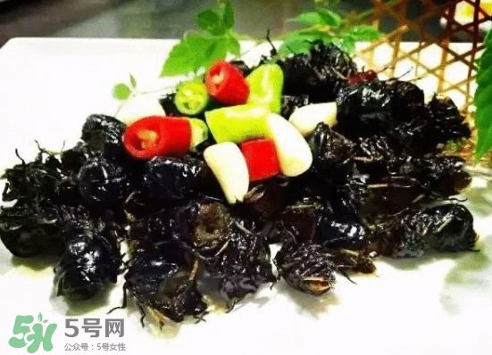 知了还是知了,知了为什么叫知了 知了还是知了,知了为什么叫知了