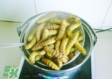 豆丹养殖前景如何,豆丹养殖技术