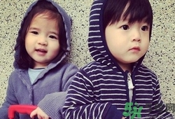 生龙凤胎的秘诀偏方,生龙凤胎的秘诀是什么