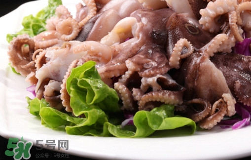 八爪鱼是章鱼吗是墨鱼吗,八爪鱼是章鱼吗