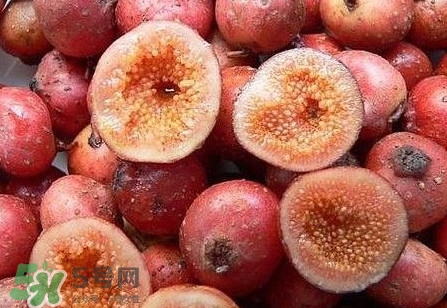 野地瓜好吃吗,野地瓜怎么吃