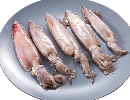 章鱼和鱿鱼有什么区别图片,章鱼和鱿鱼有什么区别?