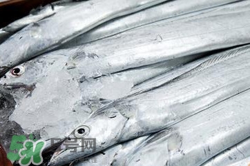 带鱼是海鲜吗是发物吗,带鱼是海鲜吗?