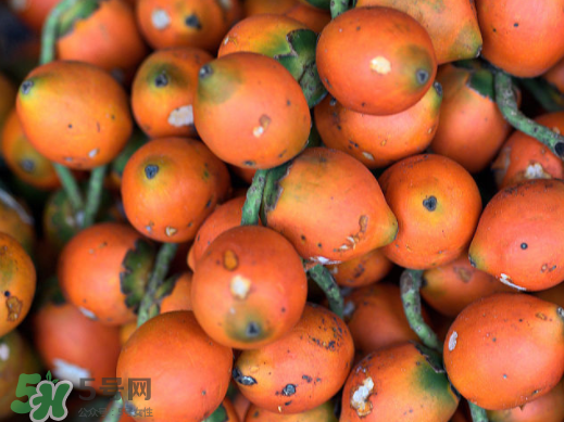 槟榔的正确吃法,槟榔怎么做的