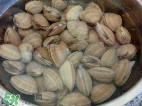 蚬子什么样的是活的,蚬子是什么东西