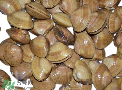 蚬子是花甲吗,蚬子跟花甲有什么区别