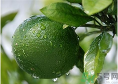 孕妇吃桔子好吗,孕早期吃桔子好吗