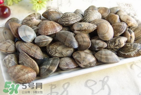 黄蚬子和花蚬子的区别图片,黄蚬子和花蚬子的区别