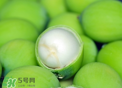 莲子哪里产的最好百度百科,莲子哪里产的最好